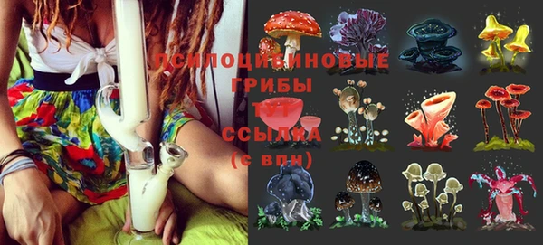 синтетический гашиш Костерёво