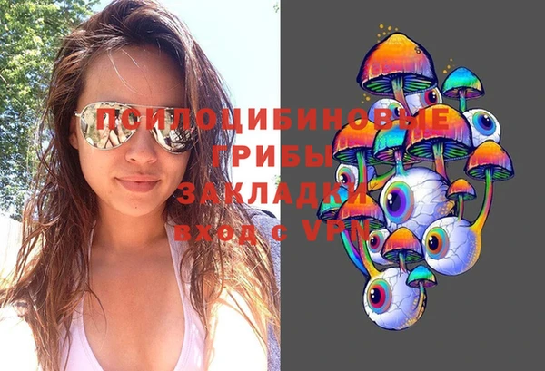 синтетический гашиш Костерёво