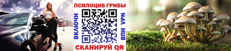 Псилоцибиновые грибы Magic Shrooms  Купить где  Берёзовский 